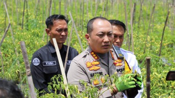 Polresta Malang Kota Bersama Pemkot Wujudkan Ketahanan Pangan di Tengah Keterbatasan Lahan