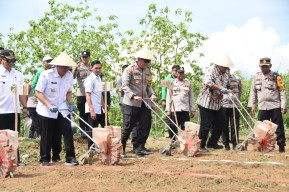 Manfaatkan Lahan Kritis, Polri Bersama TNI Tanam Jagung Gelorakan Swasembada Pangan