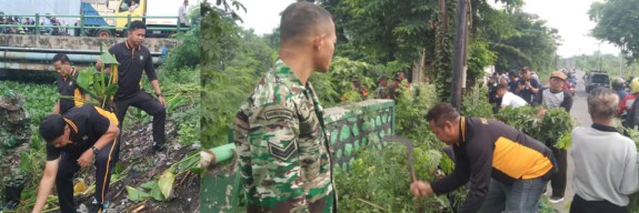 Cegah Banjir Polisi bersama TNI Bersihkan Sampah dan Enceng Gondok di Sungai Gebang Sidoarjo