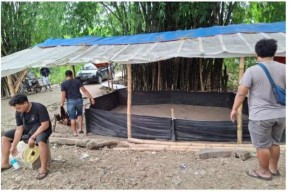 Polres Nganjuk: "Gerebek Lokasi Sabung Ayam di Lengkong, Pelaku Kabur"