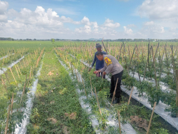Dukung Ketahanan Pangan, Polsek Lengkong Pantau Pemanfaatan Lahan Perkarangan di Desa Sawahan