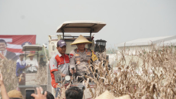Kapolda Jawa Timur dan Forkopimda Panen Raya Jagung di Prambon Sidoarjo