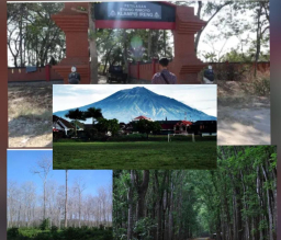 5 Tempat Paling Angker di Jawa Timur, Konon Ada Pintu Gerbang ke Alam Lain