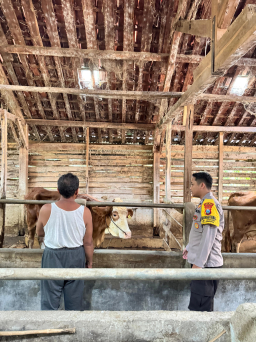 Polsek Lengkong Pantau Peternakan Warga, Antisipasi Penyakit PMK