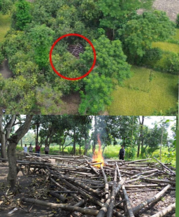 Patroli Drone, Polres Pasuruan Kota Berhasil Identifikasi dan Bongkar Lokasi Sabung Ayam