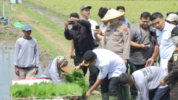 Nganjuk Dukung Swasembada Pangan Lewat Gerakan Tanam Padi Serentak