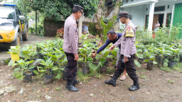 Polsek Sawahan Kembangkan Lahan Pekarangan Percontohan di Desa Duren
