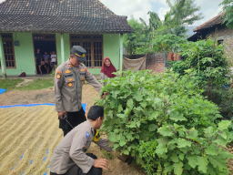 Bhabinkamtibmas Polsek Sukomoro Bina Lahan Terong di Pekarangan Warga