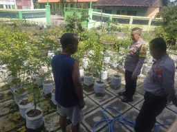 Dukung Ketahanan Pangan, Pantau Pekarangan Sayur Warga