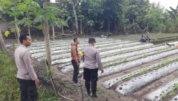 Dukung Ketahanan Pangan Lewat Pemanfaatan Lahan Pekarangan 