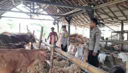 Manfaatkan Pekarangan, Polsek Patianrowo Dorong Ketahanan Pangan Lewat Peternakan Sap