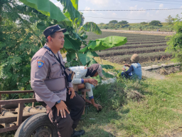 Dukung Ketahanan Pangan Lewat Pemantauan Lahan Persawahan Warga