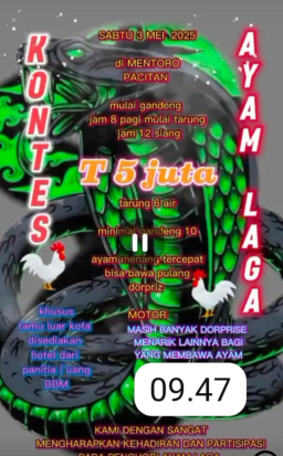 Perjudian Sabung Ayam di Pacitan Masih Berlangsung Bebas, LSM FAAM Desak Polda Jatim Bertindak Tegas