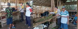 Bhabinkamtibmas Sawahan Tinjau Peternakan Warga Dukung Ketahanan Pangan