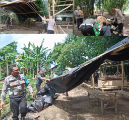 Polisi Bongkar Lima Arena Sabung Ayam di Jember