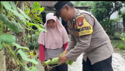 Dukung Ketahanan Pangan, Bhabinkamtibmas Desa Senjayan Pantau Pekarangan Bergizi Warga