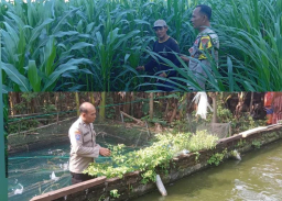 Polsek Pace Dukung Ketahanan Pangan Lewat Pemanfaatan Lahan Pekarangan