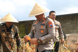 Polres Malang Panen Raya Jagung Dukung Ketahanan Pangan Nasional