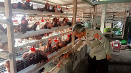 Dukung Warga Ngepeh Kembangkan Ternak Ayam Petelur