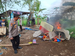 Polsek Sukomoro Bongkar Arena Judi Sabung Ayam dan Dadu di Timur Punden Sukomor