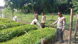 Polres Nganjuk Dukung Ketahanan Pangan Lewat Pemanfaatan Lahan Pekarangan di Desa Sonopatik