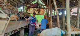 Kapolres Nganjuk Apresiasi Warga yang Produktifkan Lahan Pekarangan untuk Ternak Kambing