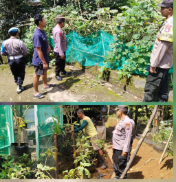 Polsek Sawahan Dukung Ketahanan Pangan Lewat Pemanfaatan Lahan Perkarangan
