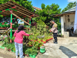 Bhabinkamtibmas Wilangan Dukung Ketahanan Pangan, Pantau Lahan Pekarangan Warga di Ngadipiro