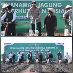 Kapolda Jatim Pimpin Penanaman Jagung Serentak di Nganjuk, Dukung Target Nasional 10 Juta Ton