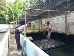 Polres Nganjuk Dukung Budidaya Ikan Lele dan Nila di Lahan Pekarangan