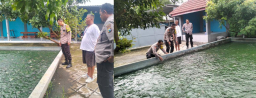 Budidaya Ikan Nila, Upaya Bhabinkamtibmas dan Warga Pehserut Dukung Ketahanan Pangan