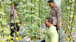 Budidaya Melon ala Green House Jadi Inspirasi, Kapolsek Warujayeng Beri Dukungan 