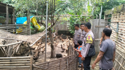 Bhabinkamtibmas Desa Sonopatik Dukung Ketahanan Pangan Lewat Pendampingan Ternak Bebek