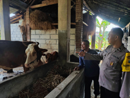 Bhabinkamtibmas Nglawak Pantau Peternakan Warga, Dukung Program Ketahanan Pangan