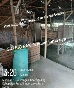 Seorang Kakek Tua Diduga jadi Korban Kades "Berkedok Salurkan Bantuan Sosial Pemerintah Untuk Masyarakat Miskin"