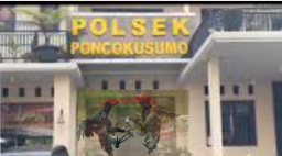 Demi Kesenangan Sesaat, Hukum Diperjual Belikan Tanpa Terfikirkan  Dampaknya.