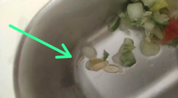 Makan Gratis Berbelatung di SMAN 1 Banyuates, Dapur Yayasan Al Bukhori Dinilai Abai Kebersihan