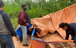 Bongkar Bakar Kalangan Judi Sabung Ayam di Kedungkandang Malang