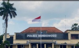 Oknum Polisi Polsek Prajekan Diduga Terlibat Penebangan Kayu Jati Tanpa Se Izin PT. ARFAM di Bondowoso