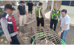 Polresta Sidoarjo Bongkar Dua Arena Sabung Ayam di Lokasi Berbeda