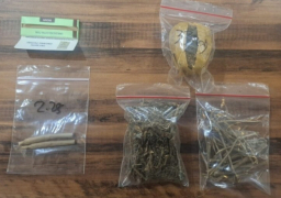 Polrestabes Surabaya Ungkap Narkoba Amankan Tersangka Pengedar Ganja