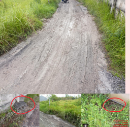 Diduga Dampak dari Limbah PT.Varia Usaha Beton: Petani Resah,  Sawah Tidak Produktif Lagi dan Akses Jalan Rusak