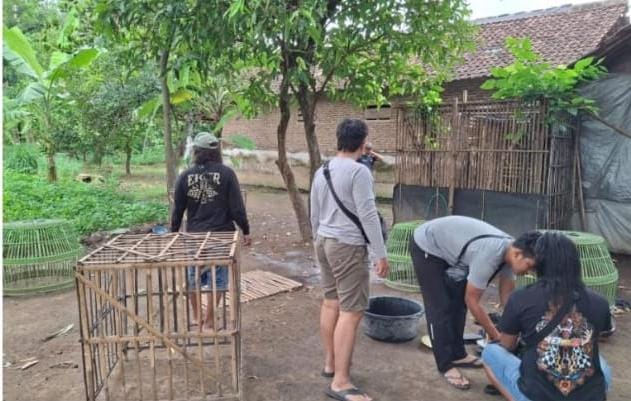 Polres Nganjuk: "Gerebek Lokasi Sabung Ayam di Baron"