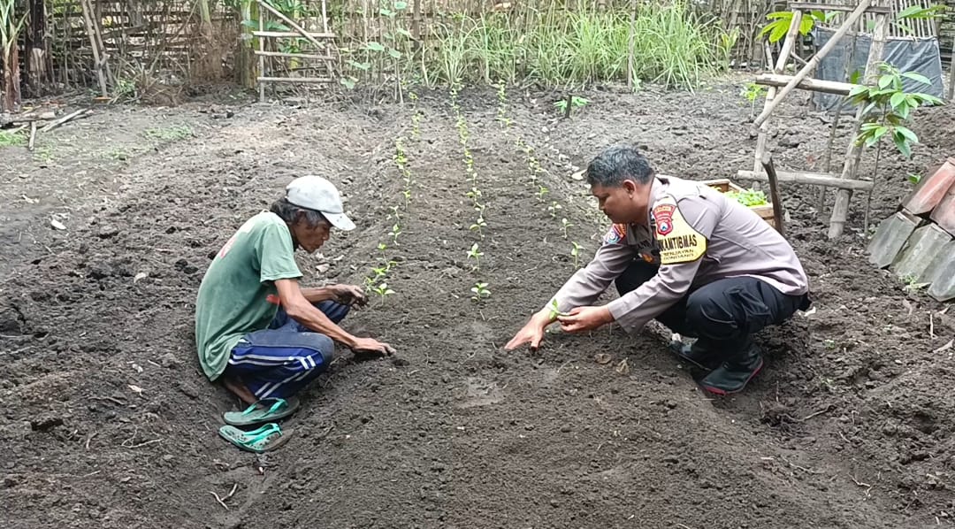 Bhabinkamtibmas: Desa Senjayan Bersama Warga Manfaatkan Lahan Sela untuk Dukung Ketahanan Pangan