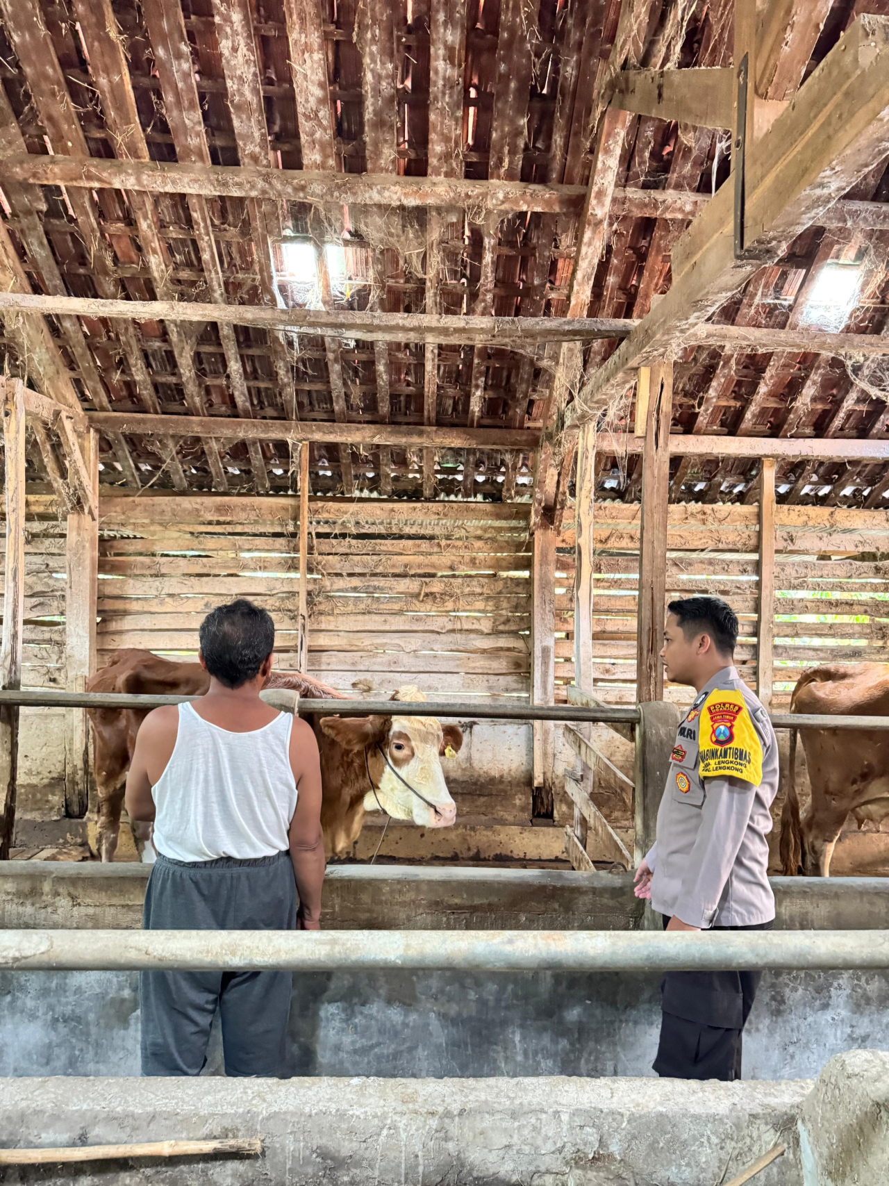 Polsek Lengkong Pantau Peternakan Warga, Antisipasi Penyakit PMK