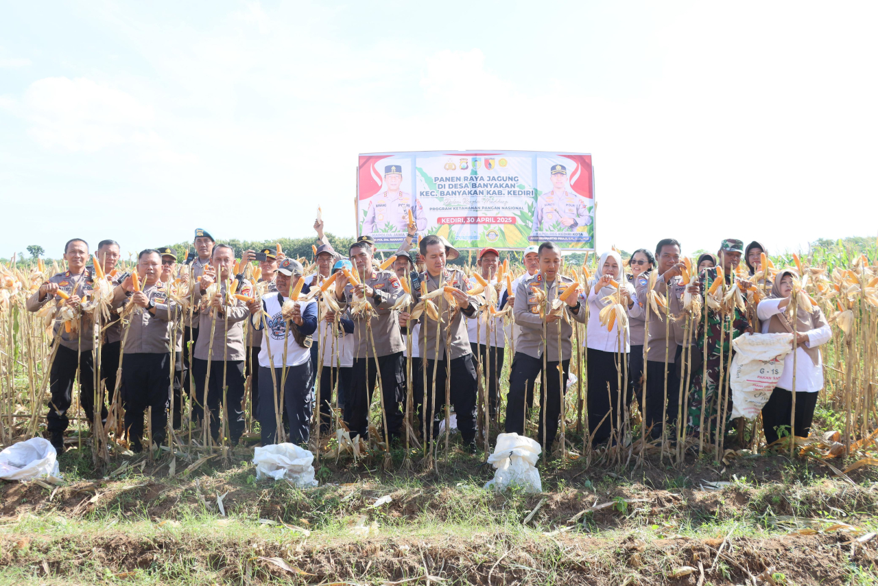 Bersama Warga Tani Panen Raya Jagung, Wujud Nyata Dukung Swasembada Pangan