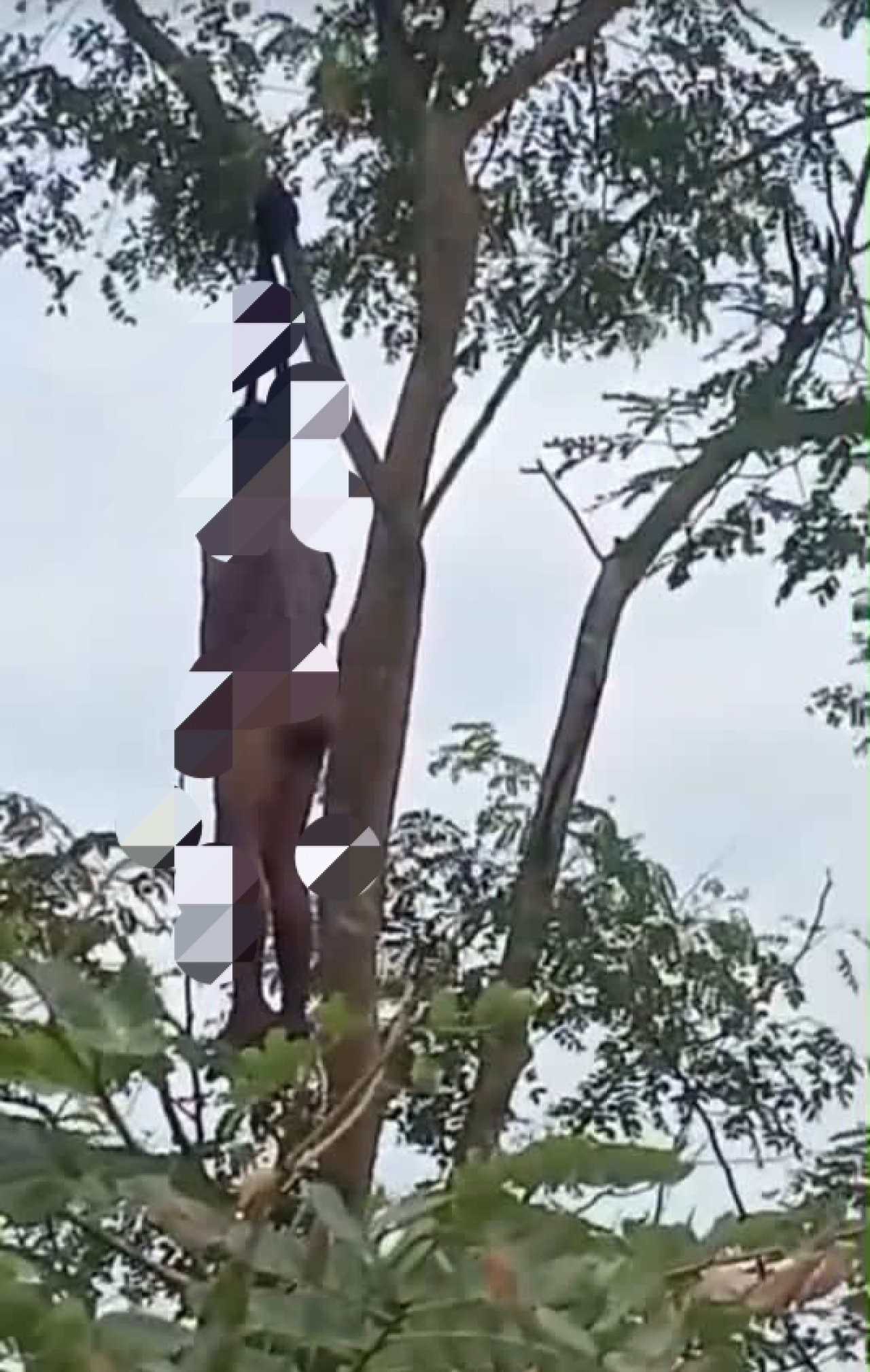 Kepergian Seorang Pria Setengah Baya Tanpa Tujuan Berakhir dengan Kematian